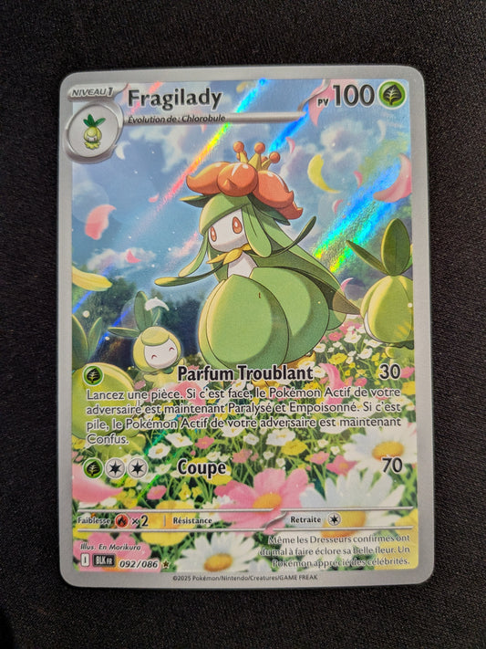 Fragilady 092/086