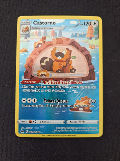 Castorno Gg25/Gg70