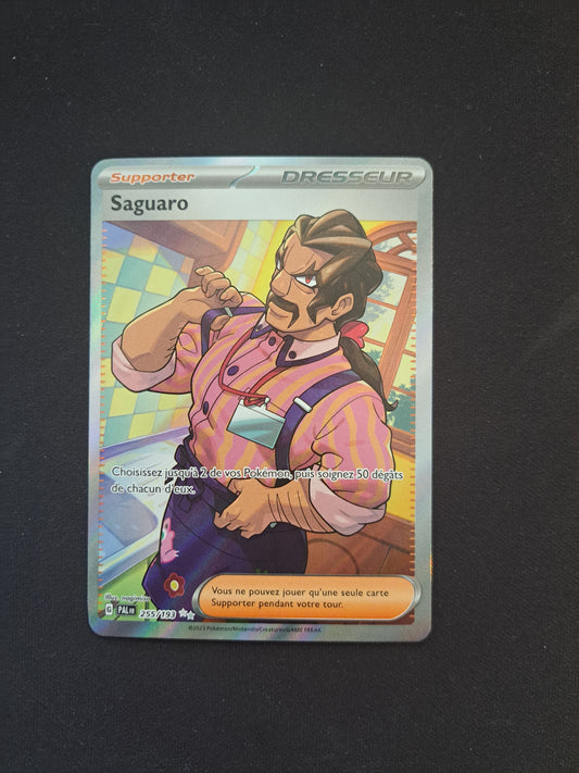 Saguaro 255/193