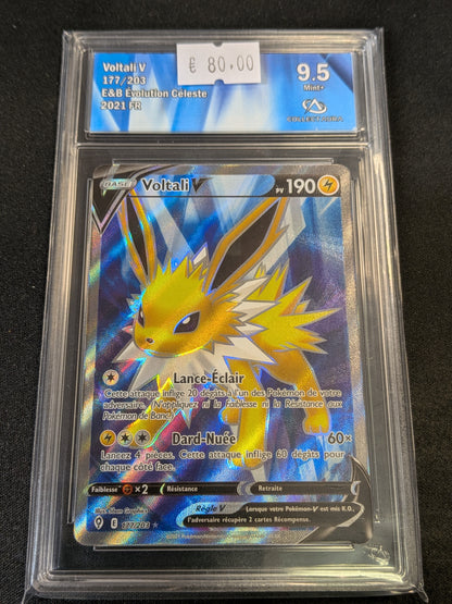 Voltali V 191/203 CA 9.5