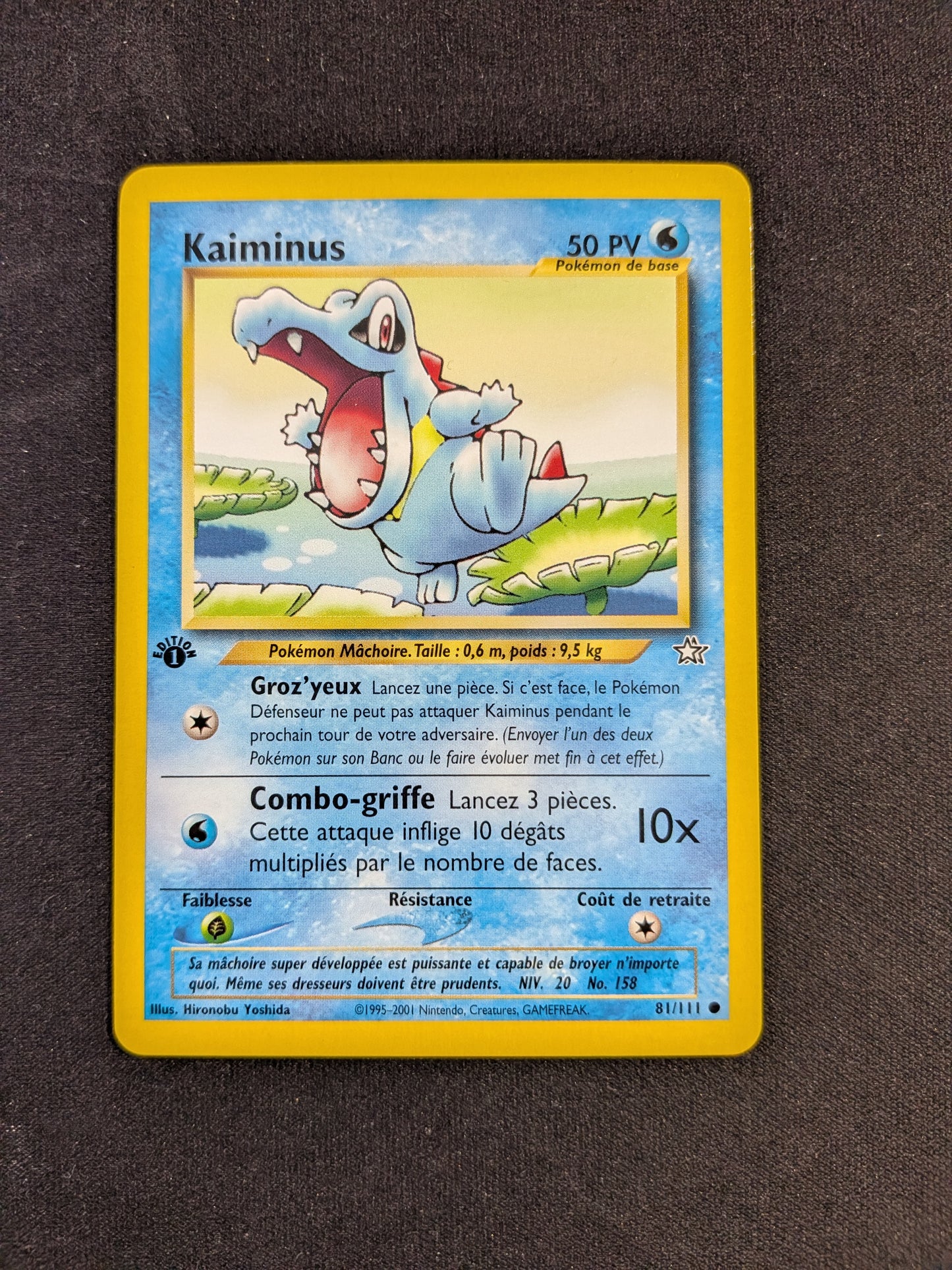 Kaiminus ED 1 81/111