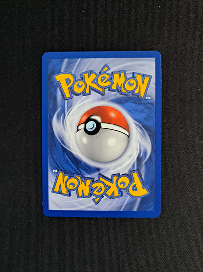 Ninjask 13/107