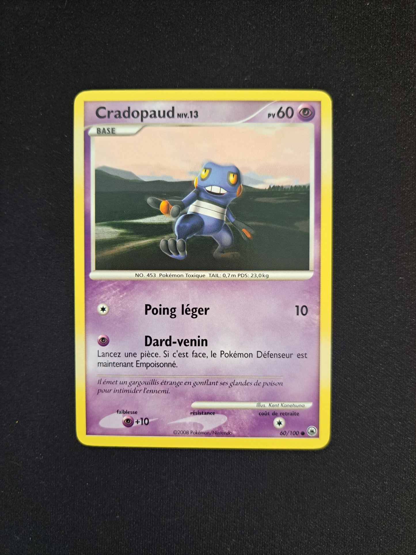 Cradopaud 60/100