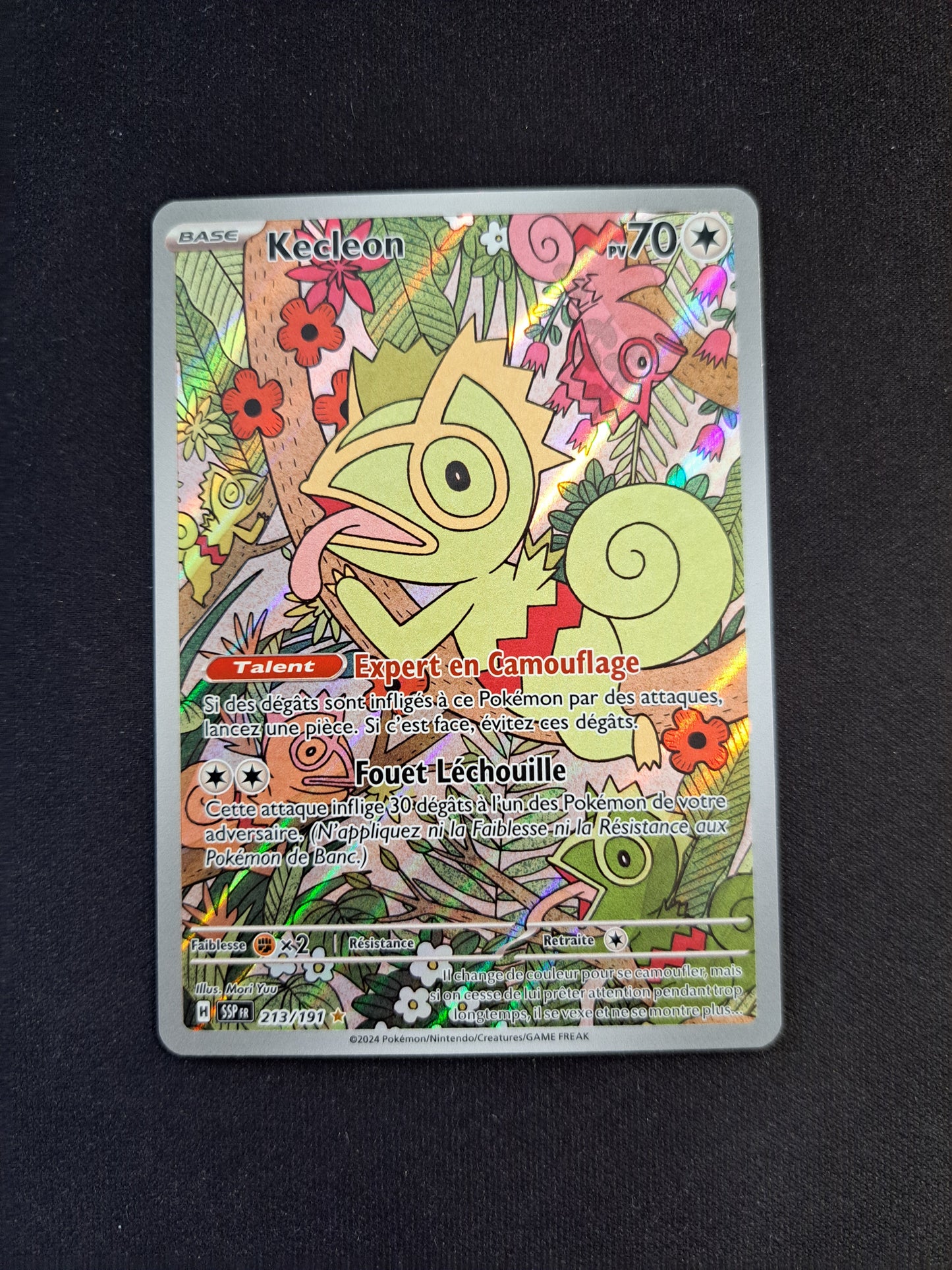 Kecleon 213/191
