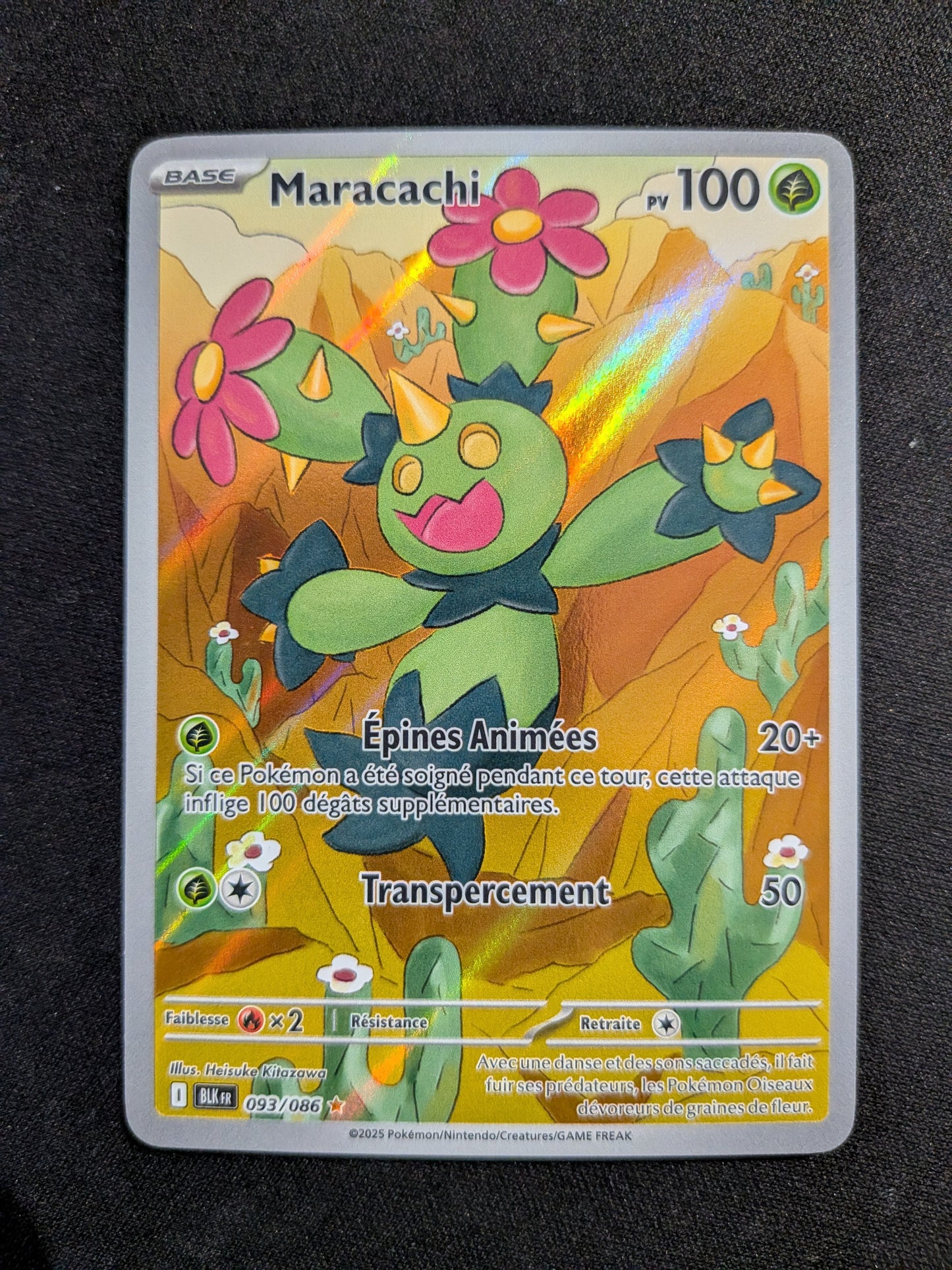 Maracachi 093/086