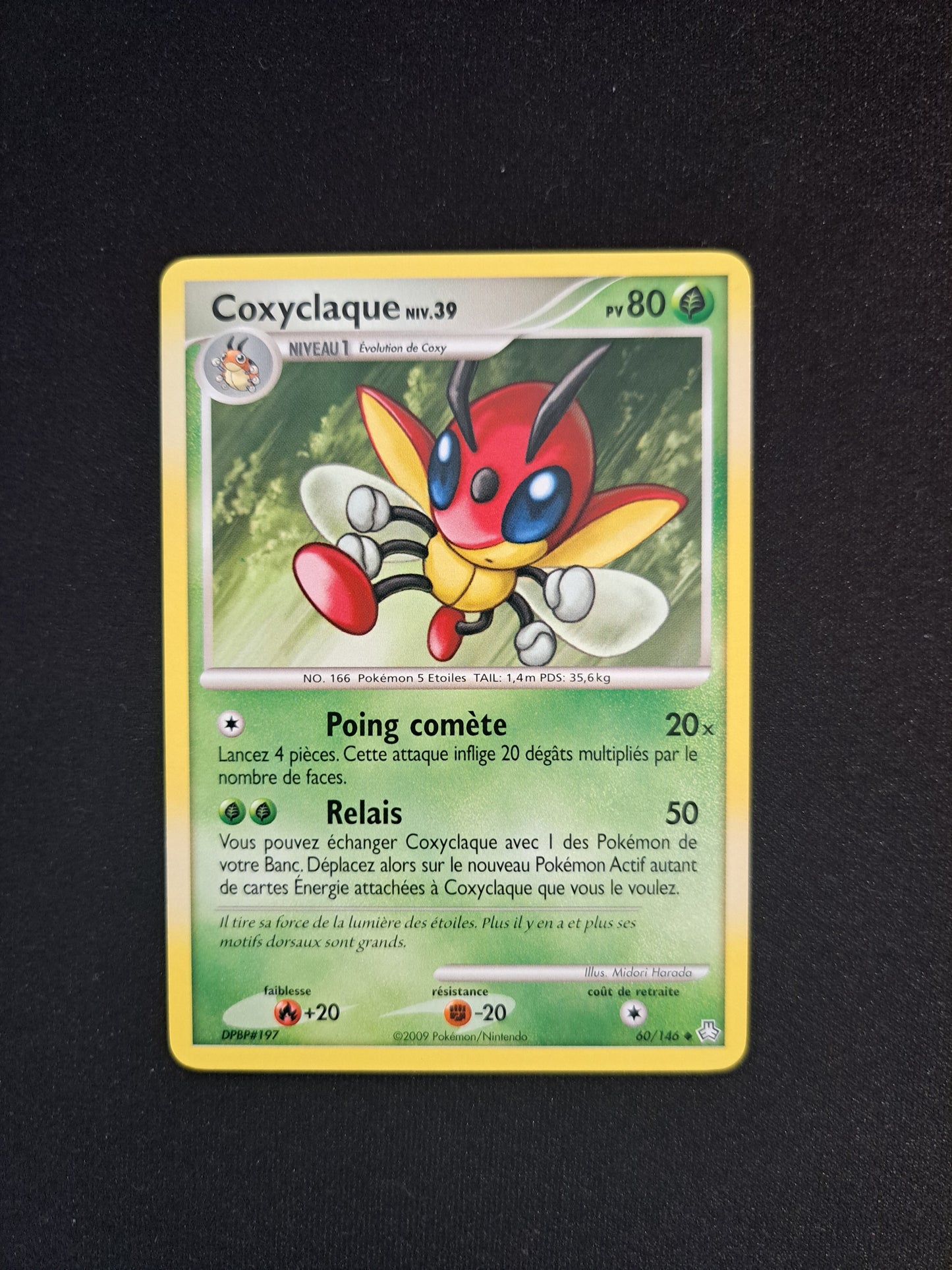 Coxyclaque 60/146