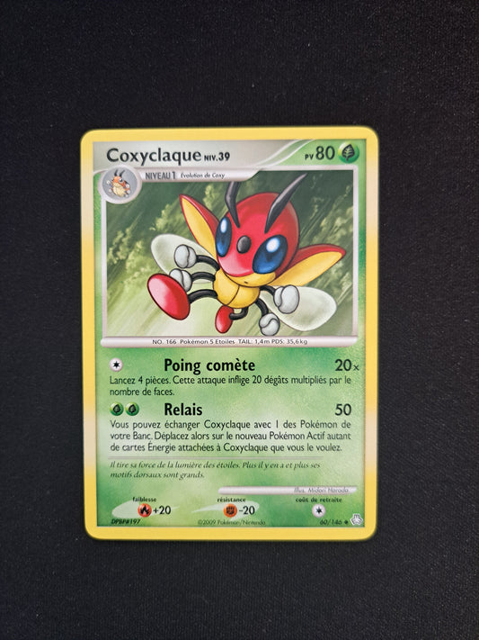 Coxyclaque 60/146