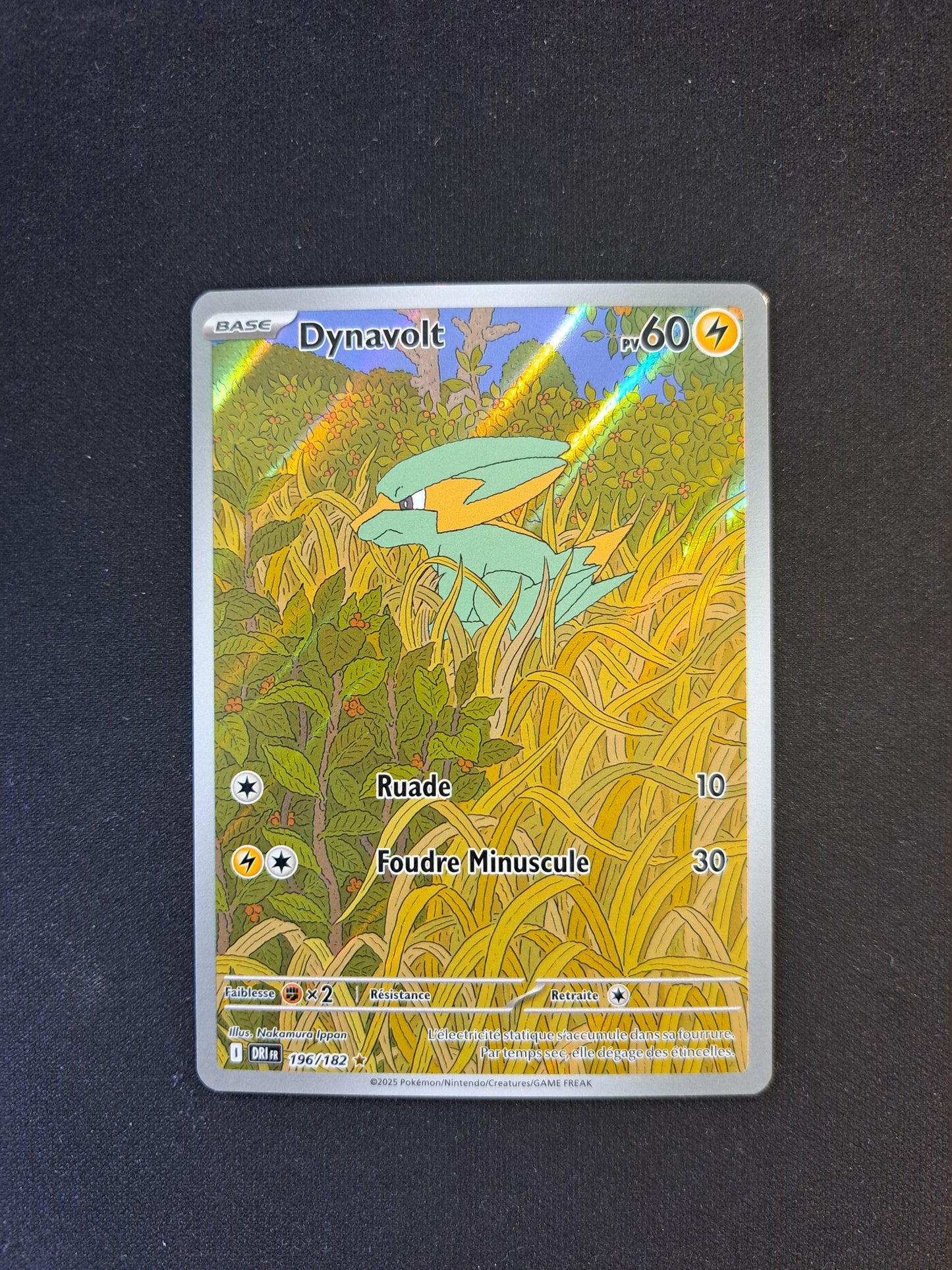 Dynavolt 196/182