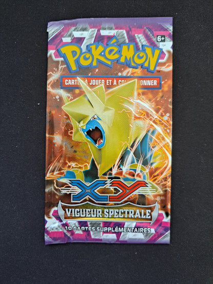 Booster Vide - Art set XY Vigueur Spectrale