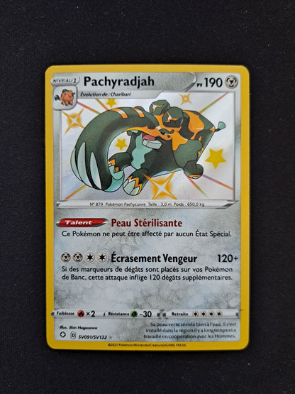 Pachyradjah Sv091/Sv122