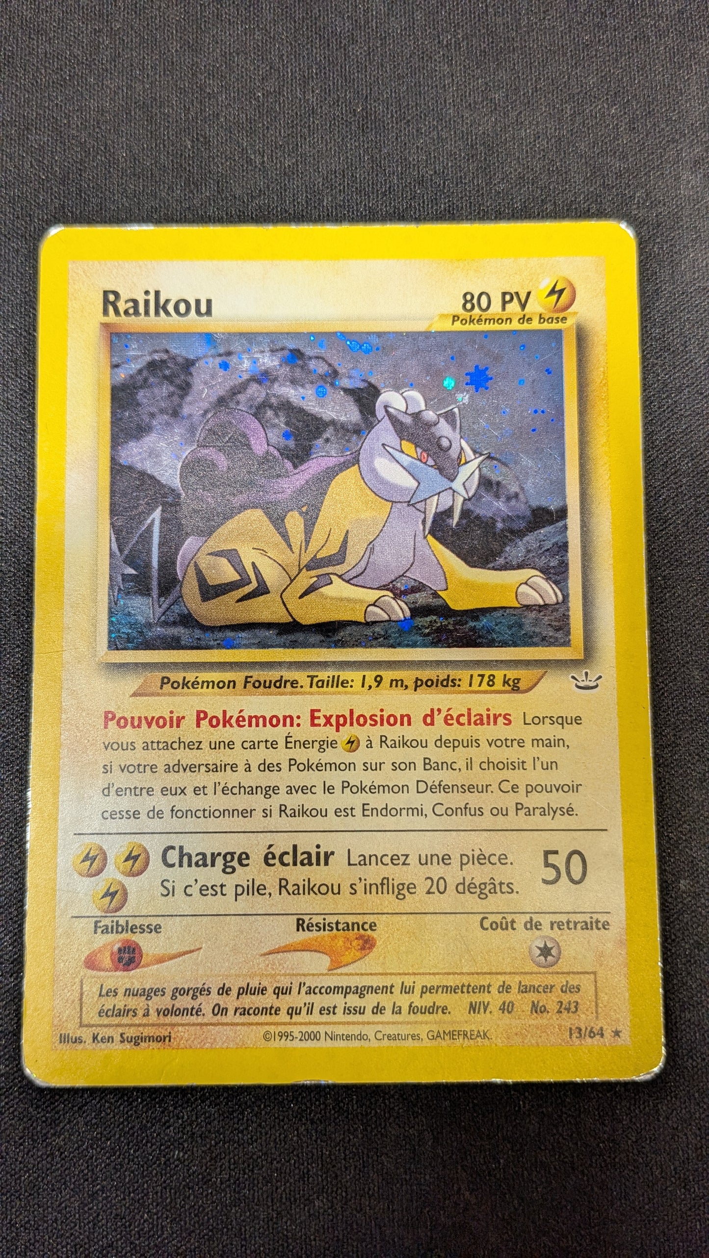 Raikou 13/64