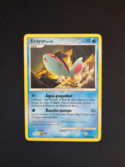 Ecayon 61/100